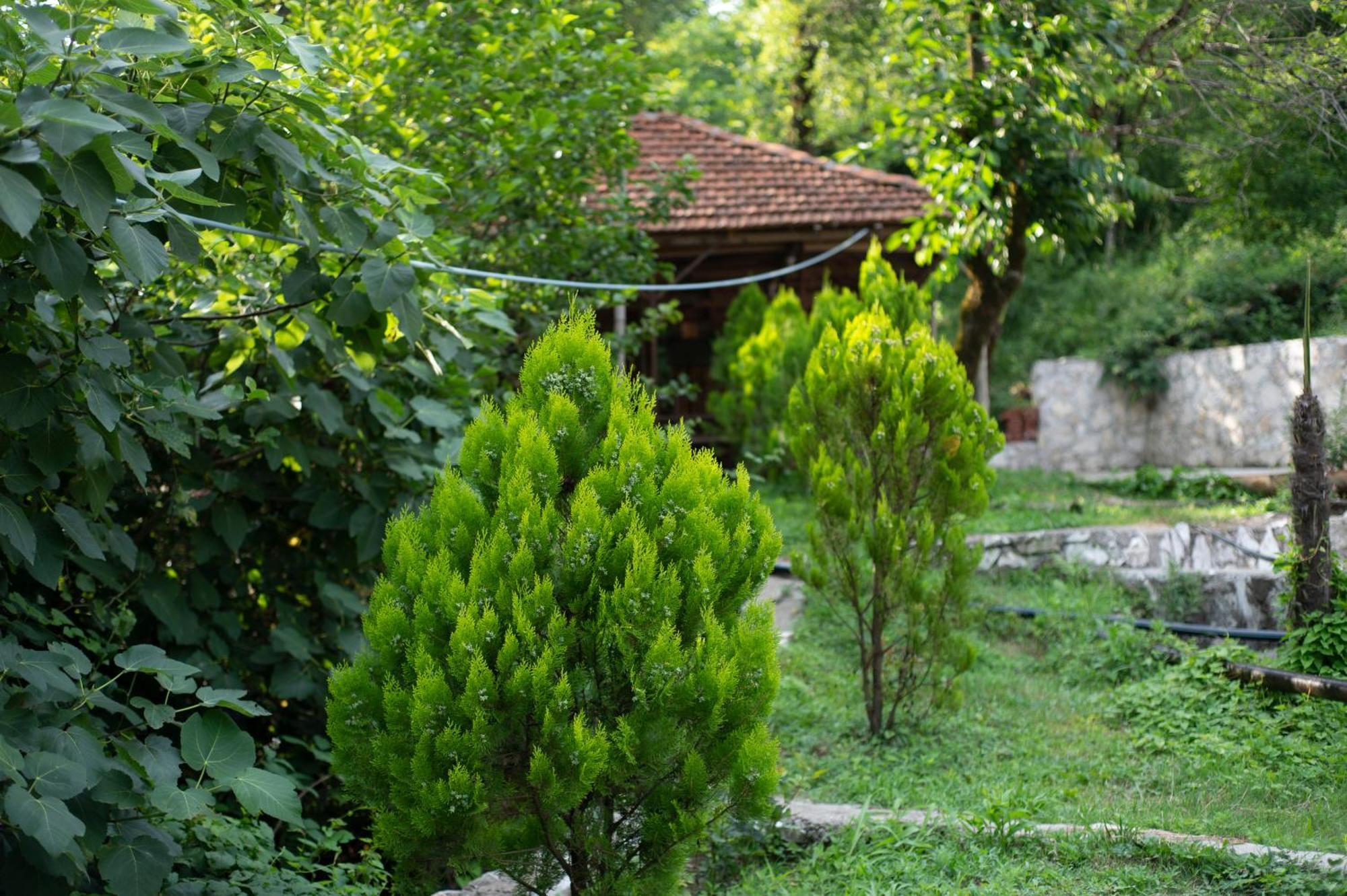 Gordela Hotel Gordi Luaran gambar