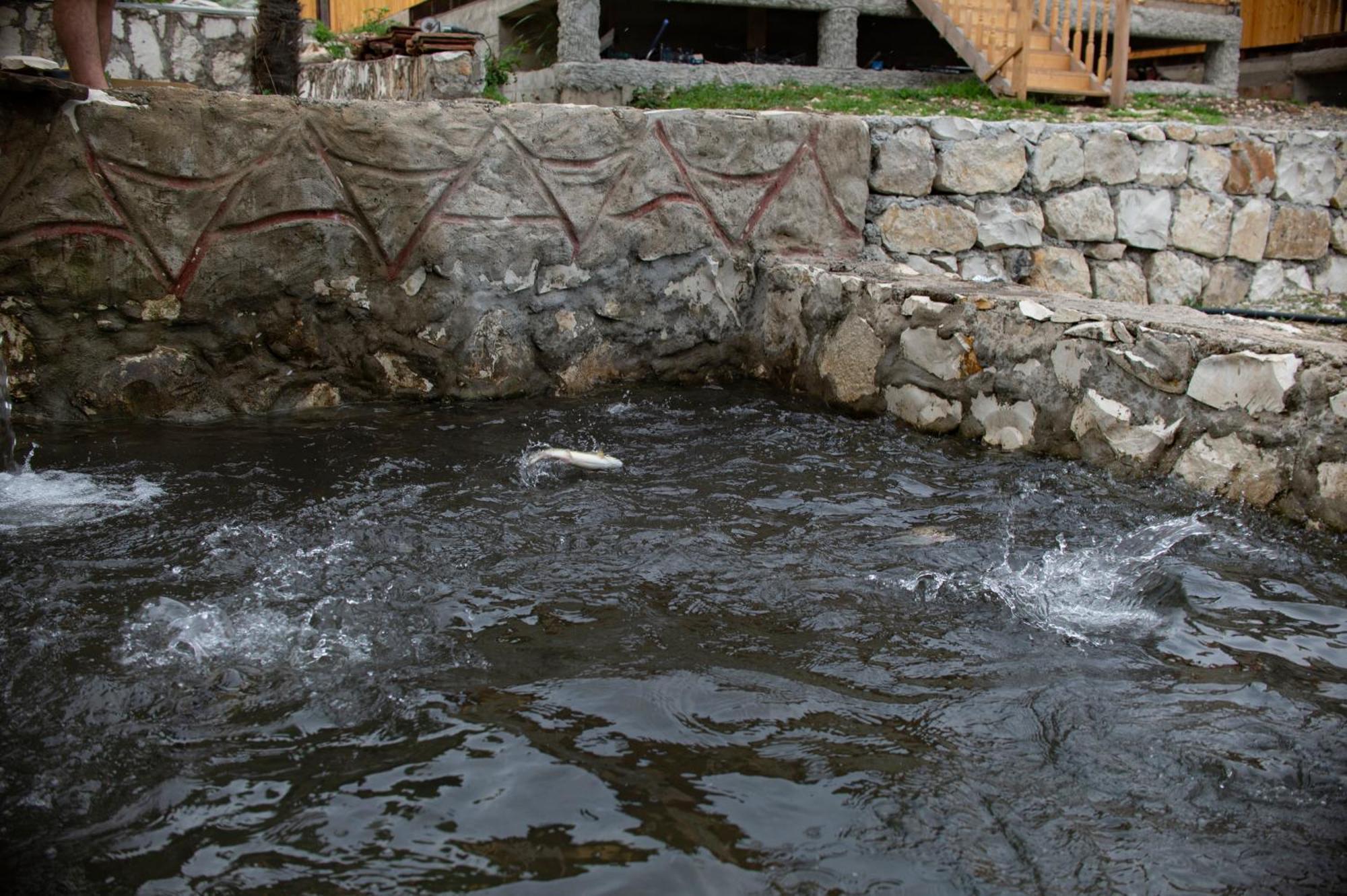 Gordela Hotel Gordi Luaran gambar